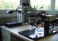 Mikroskop für Reparaturen